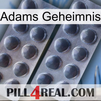 Adams Secret 31
